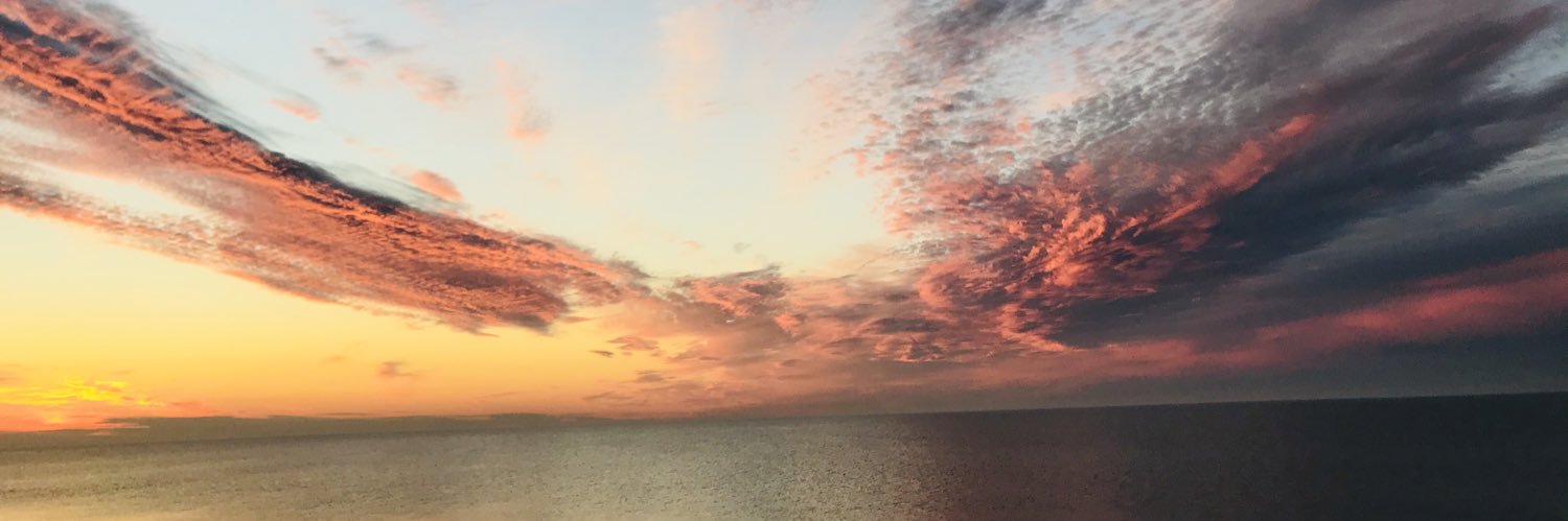 Ditte Demontis banner