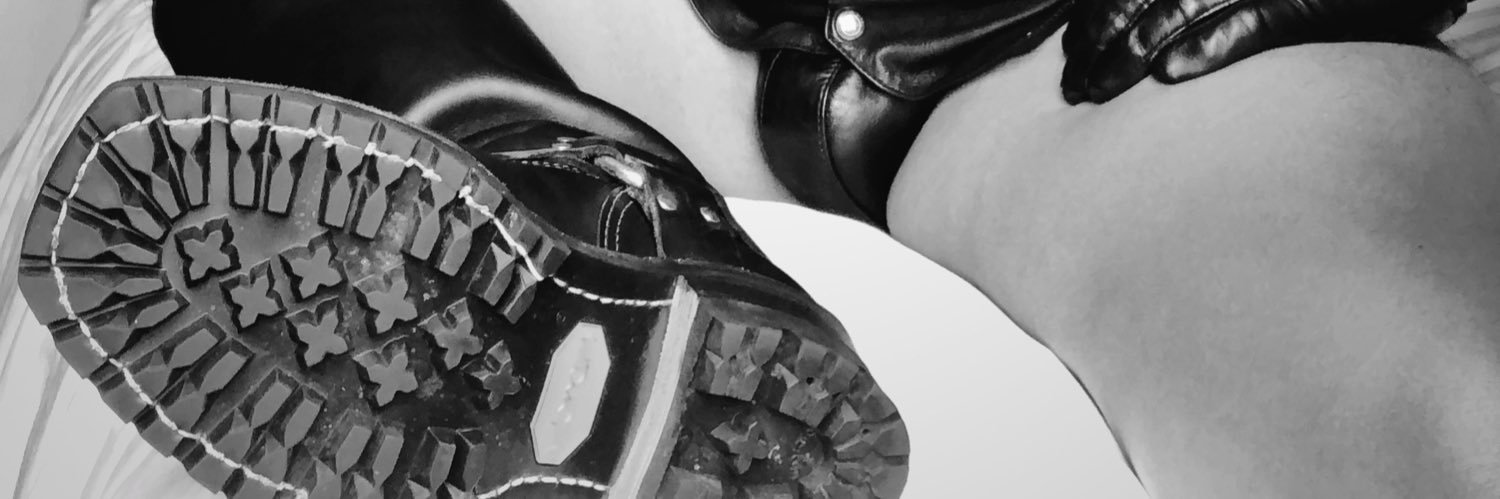 TXBootCub banner