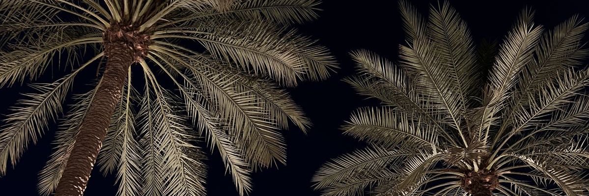 v banner
