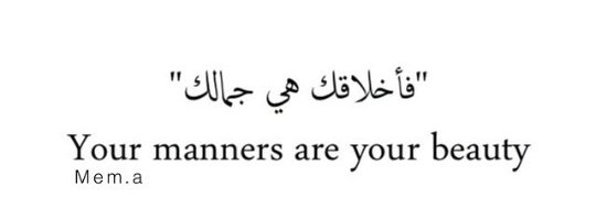 YaFa_LoZa's profile banner image