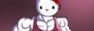 🐈 banner