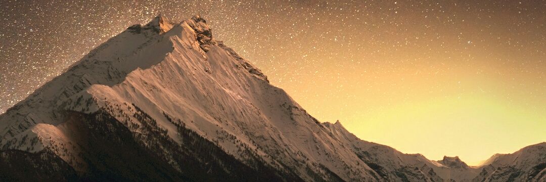 necontres's profile banner image