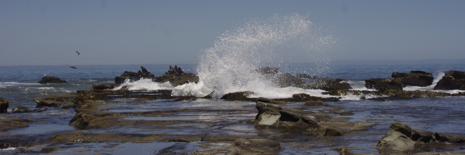 lebec3's profile banner image