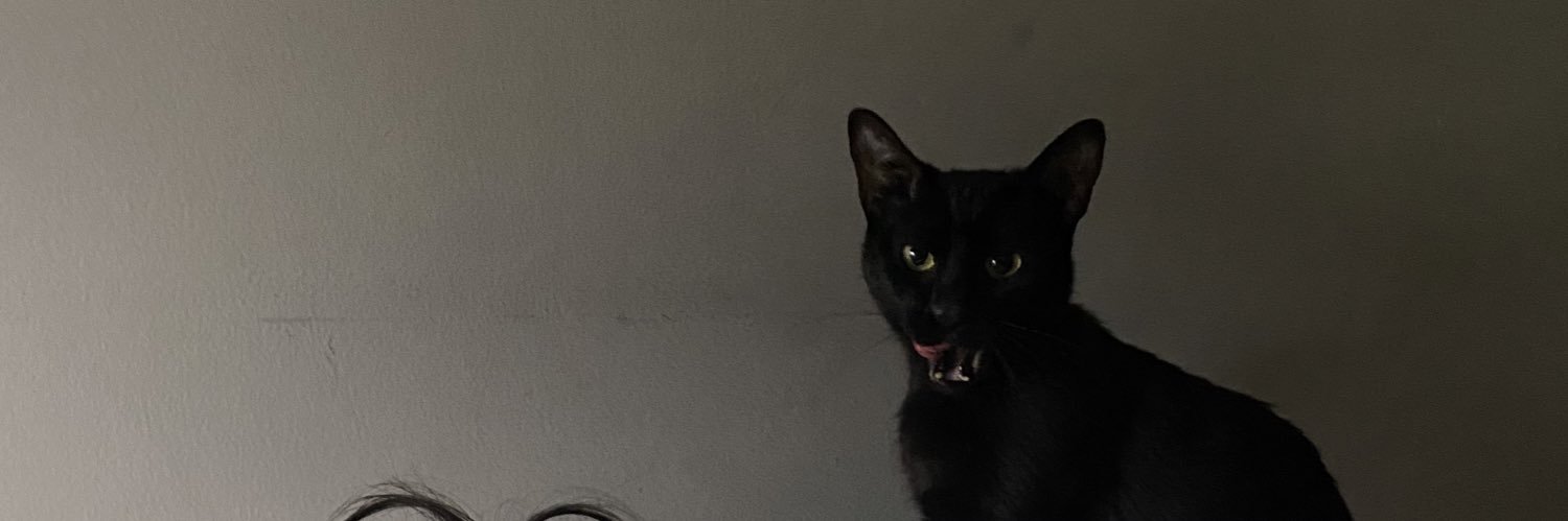 corycors's profile banner image