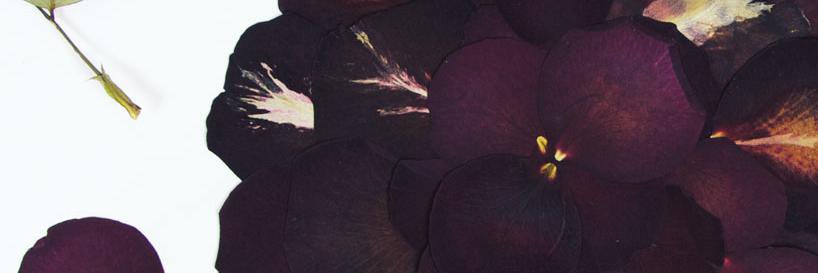 HappySkull000's profile banner image