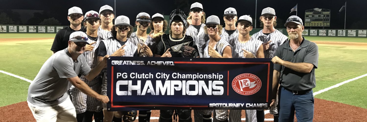 League City Baseball banner