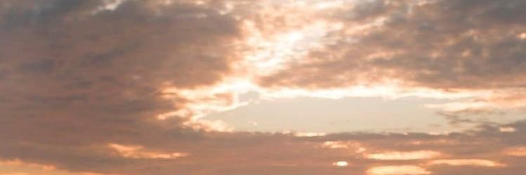 MissDublin's profile banner image