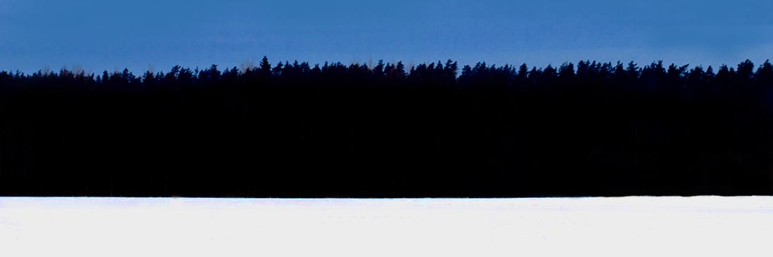 arvutite's profile banner image
