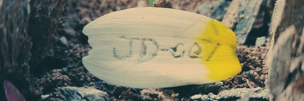 jdeeOO7's profile banner image