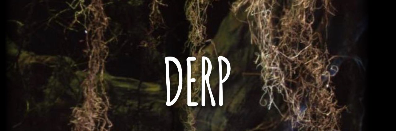 Dubzy's banner