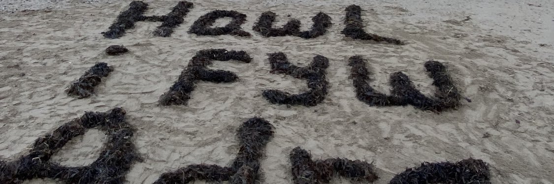 Hawl i Fyw Adra banner