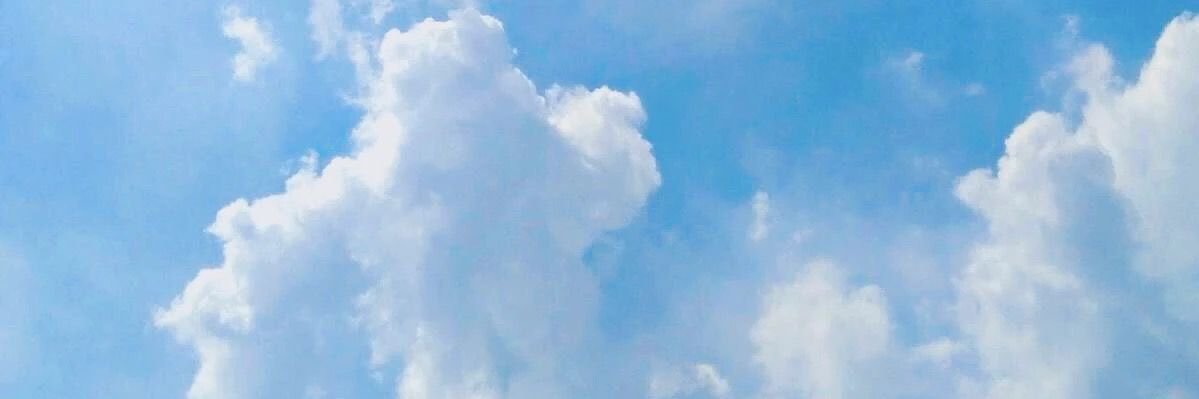 anamddcv's profile banner image