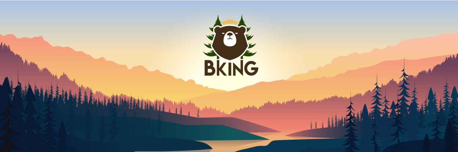 BKING - King Arthur DeFi 🐻👑 banner
