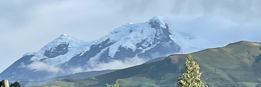 Jorge Cáceres banner