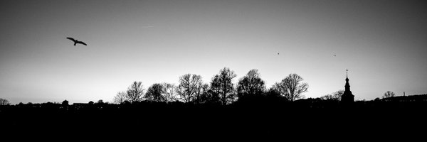 Nyuff_TheFox Profile Banner