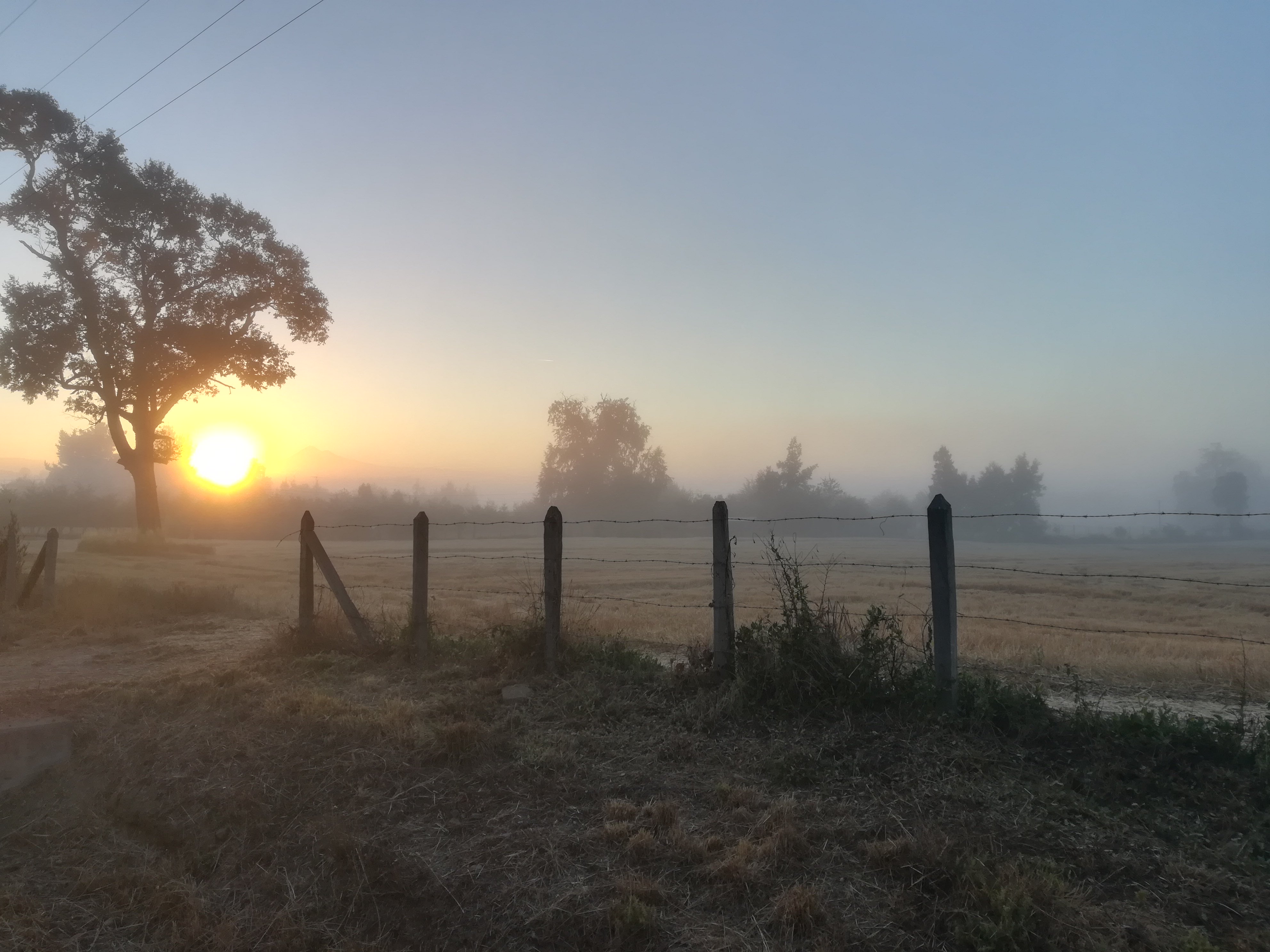 ColachindeJah's profile banner image