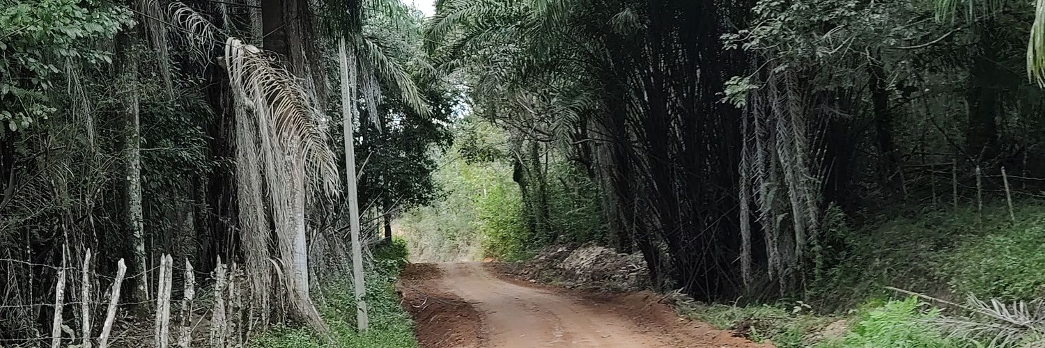 meloroque's profile banner image