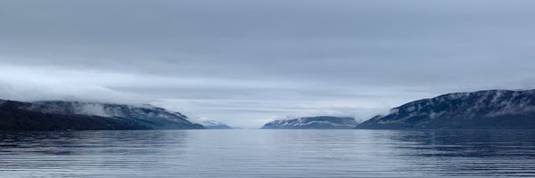 TomLeeStories Profile Banner