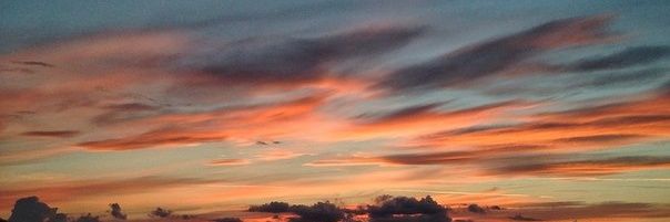 Елена Lin banner