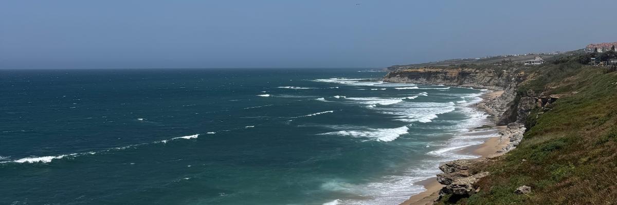 Thomas J Weiss banner