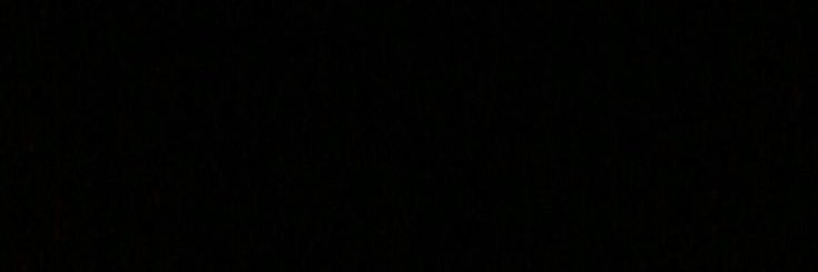 にゃんこすたー banner