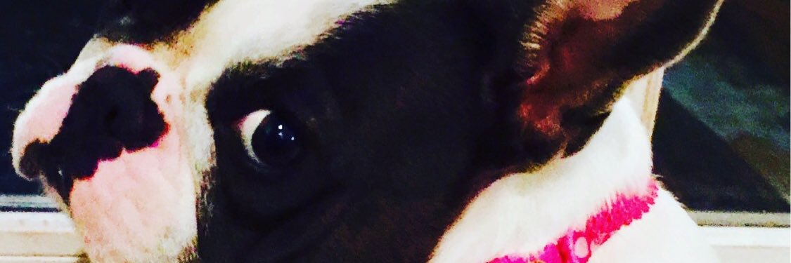 leles7744's profile banner image