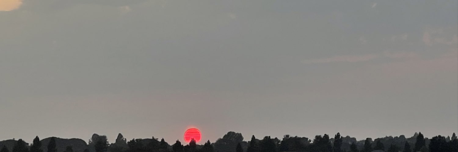 bellspalacios's profile banner image