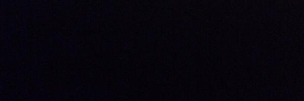 Burch_tree Profile Banner