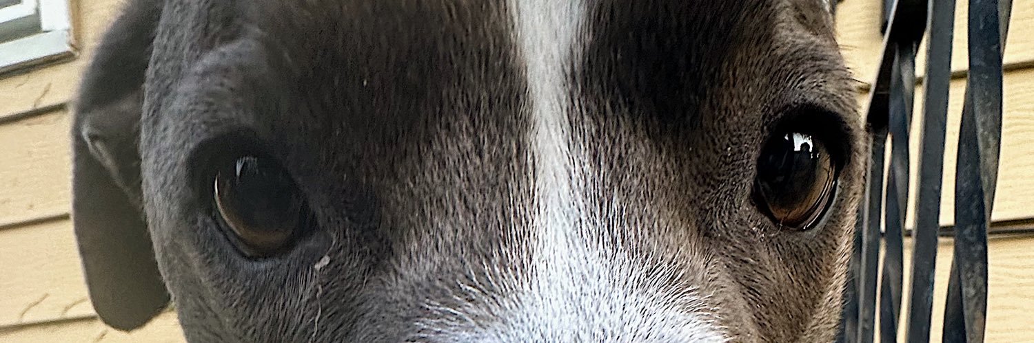 D_RAVL's profile banner image