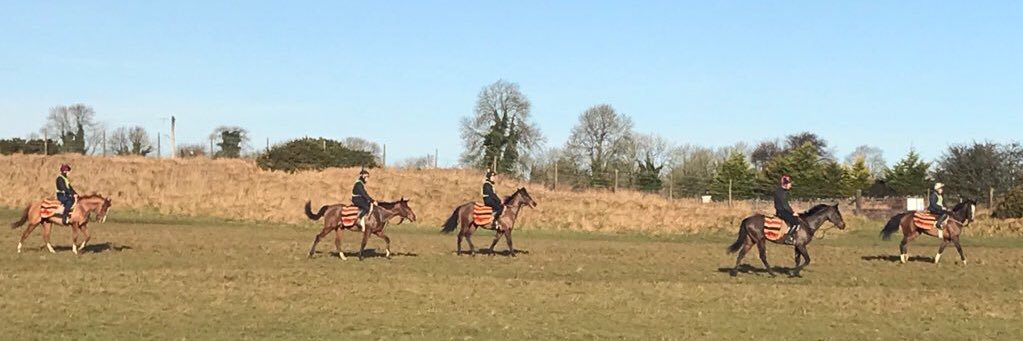 Patrick Harty banner