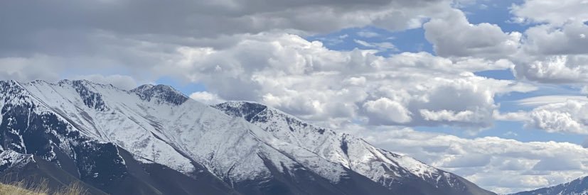 Tailwind79 banner