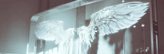 moon_light93 banner