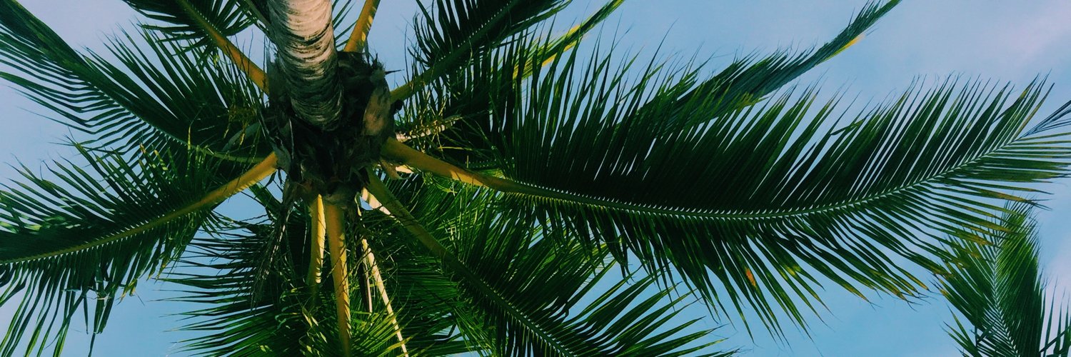 pedrojcases's profile banner image