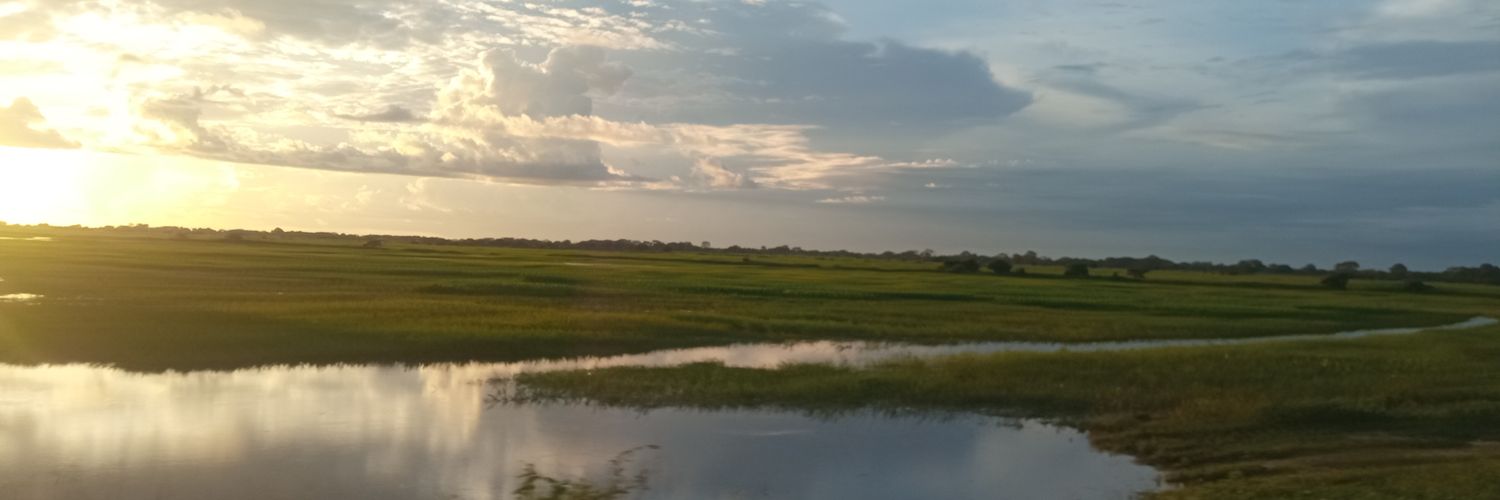 1olivares's profile banner image