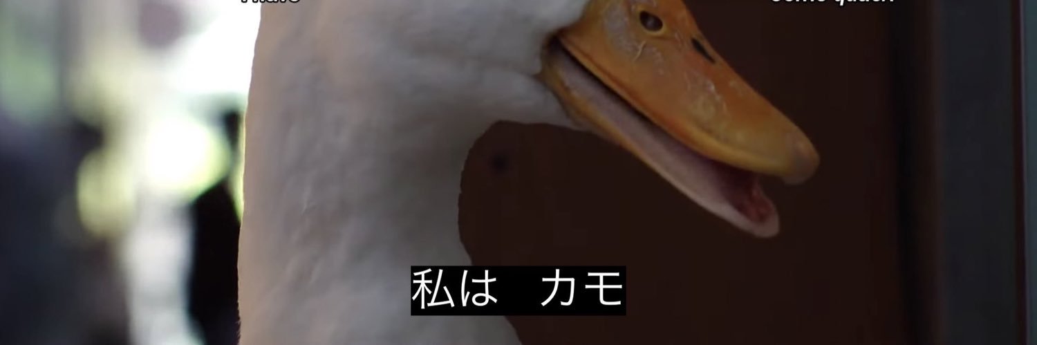 reno__mail's profile banner image