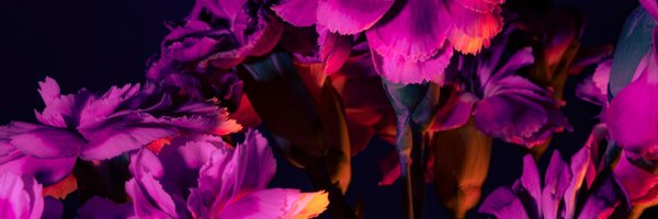 BossCrypt Profile Banner