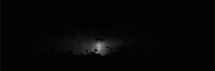 hsybey's profile banner image