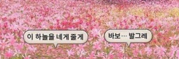_or_rose Profile Banner