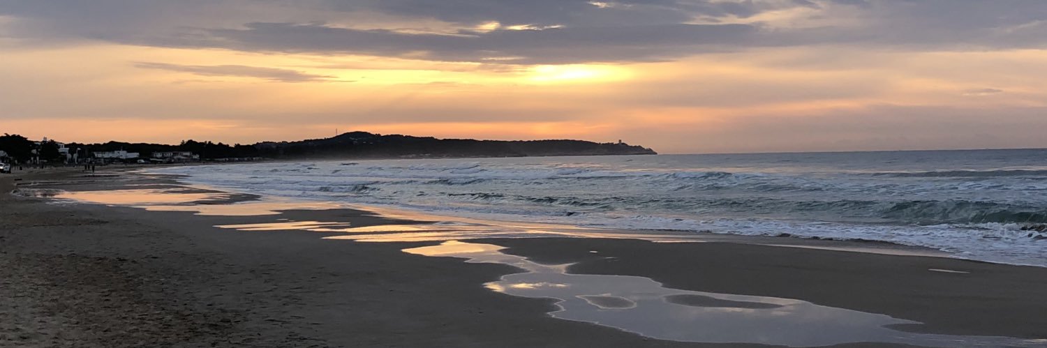 Sergi Boada Pie banner