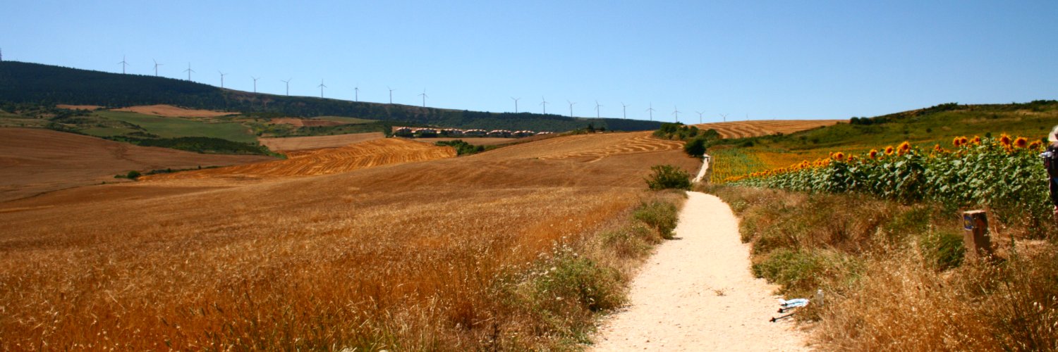 Igor Perechuda banner