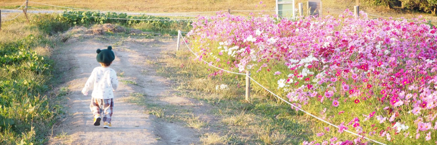あおやぎ banner
