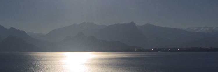 ylmaz_dln's profile banner image