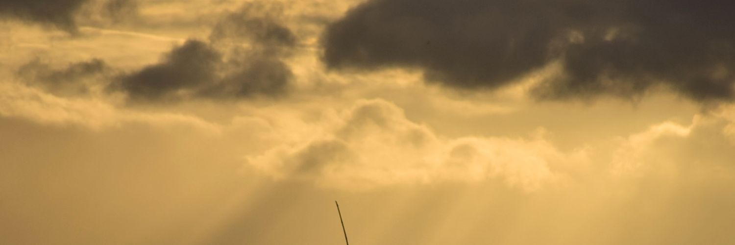 RHiguit's profile banner image