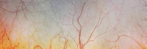McCaffery_write Profile Banner