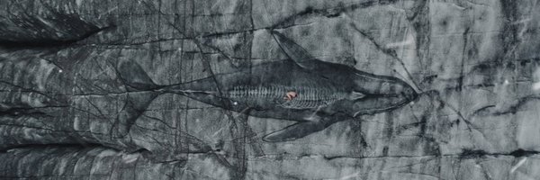 davidpopaart Profile Banner