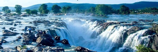 collrdpi Profile Banner