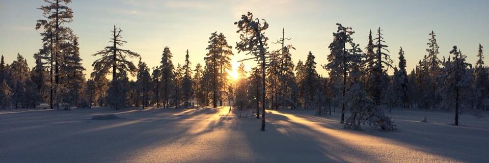 wilmahooij's profile banner image