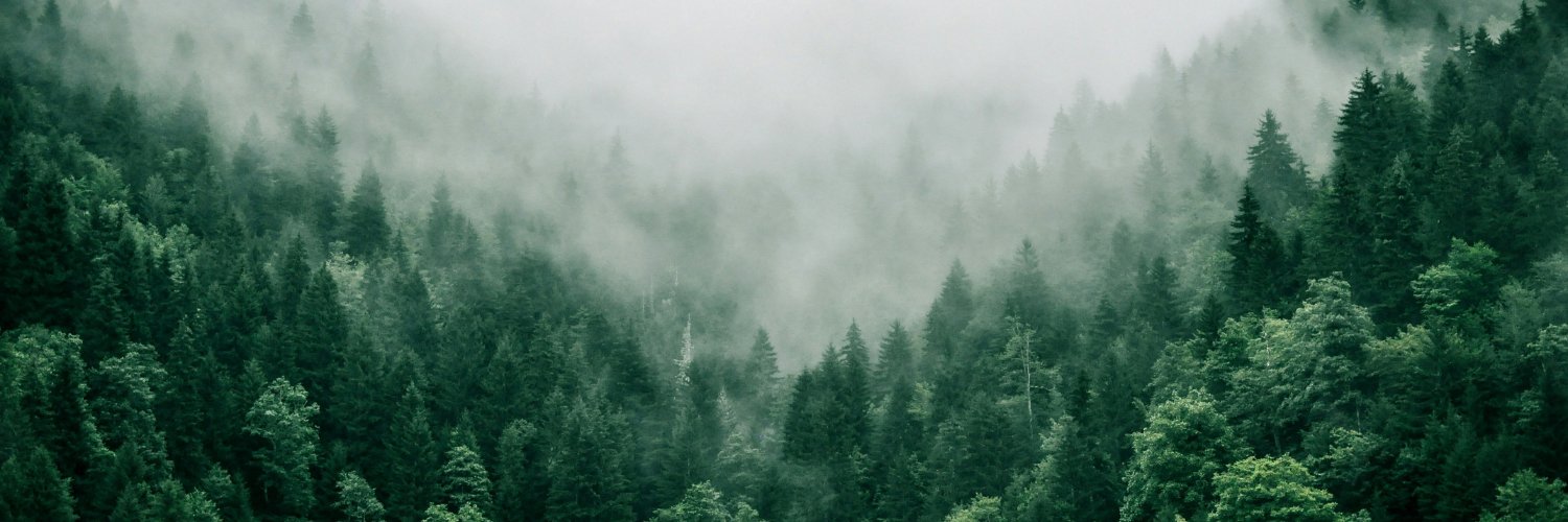 Climate Crisis Advisory Group's banner