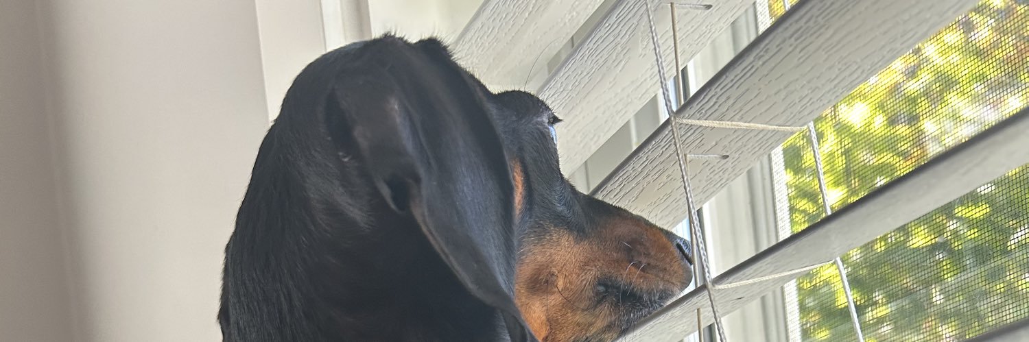 APetersProgram's profile banner image