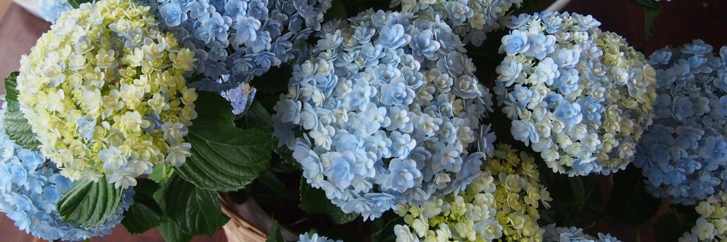 monchouchouf's profile banner image